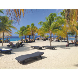 Ležaljka 203729 Ležaljka 203729