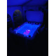 Perfect Spa masažni bazen Key West
