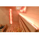 Tradicionalna sauna Dalia