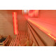 Tradicionalna sauna Dalia