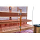 Tradicionalna sauna Club8