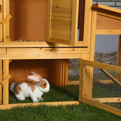 Zečinjak 50000731 Zečinjak 50000731