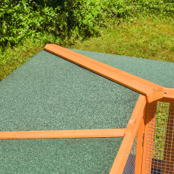 Zečinjak 50001497 Zečinjak 50001497